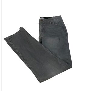 Democracy AB Technology Gray Jeans Women’s Size 10